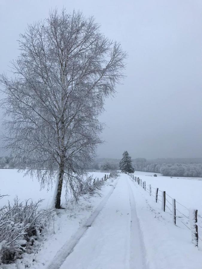 Gite Du Cheval Blanc A Houmont Sainte-Ode Zewnętrze zdjęcie